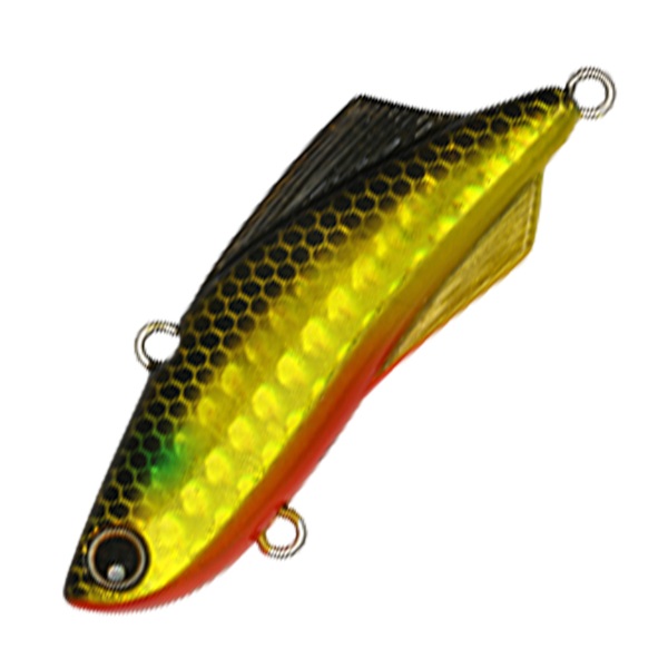 ＫＩＣＫＢＥＡＴ　５５ｍｍ　１７ｇ(Ｓ０７１ＬＮ　金ボラ（レンズホロ）)